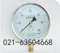 光電式電接點壓力表山東省濱州市國產(chǎn)優(yōu)先