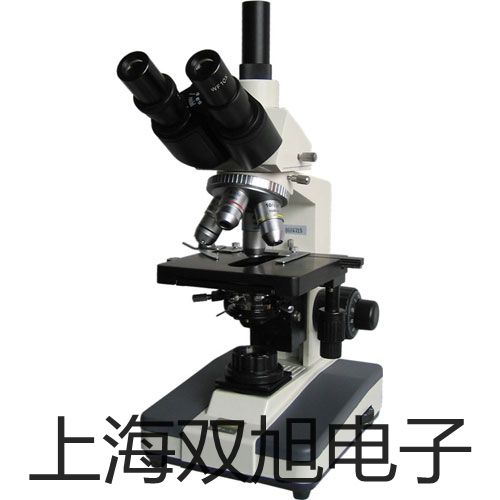 pơTL-Q5MD2ӽ_P(gun)TL-Q5MD2r 